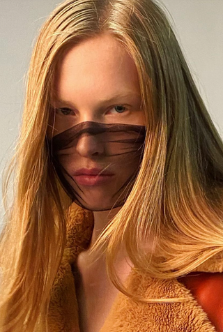 Mesh face mask